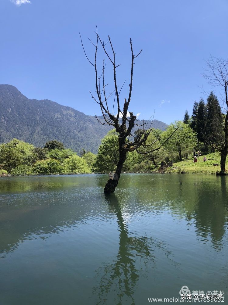 中国百慕大黑竹沟了解一下,穿越黑竹沟揭秘中国百慕大