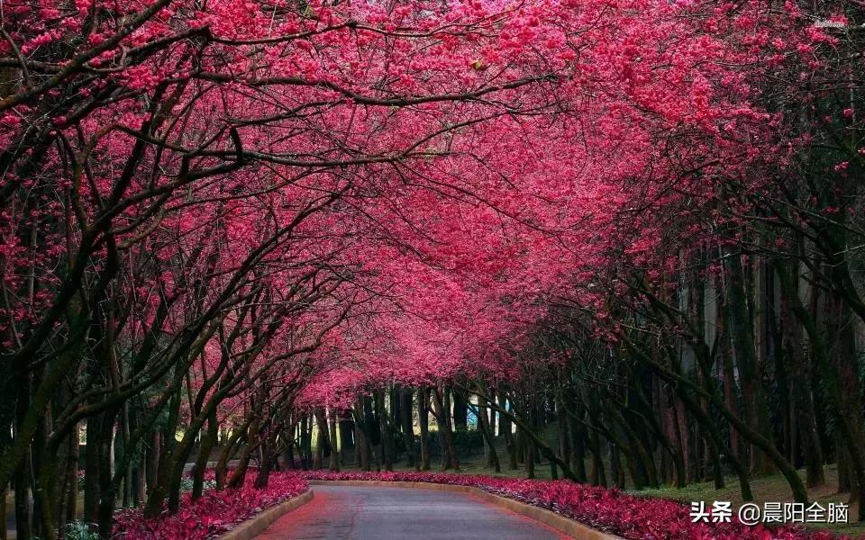 开发右脑的十种方法,成年人如何开发右脑思维