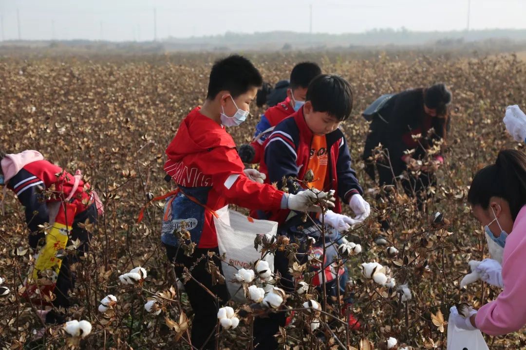 和孩子一起参加学校劳动的发言稿,和孩子们去村里上一堂劳动实践课
