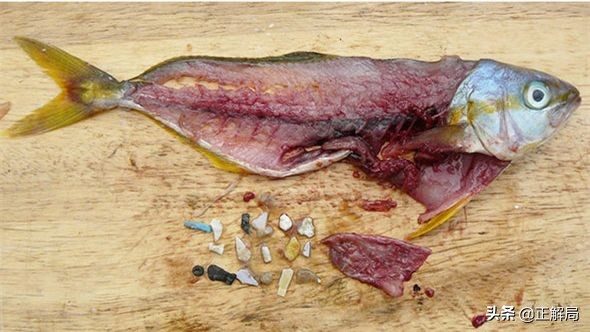 塑料餐盒污染,外卖餐盒造成巨大污染