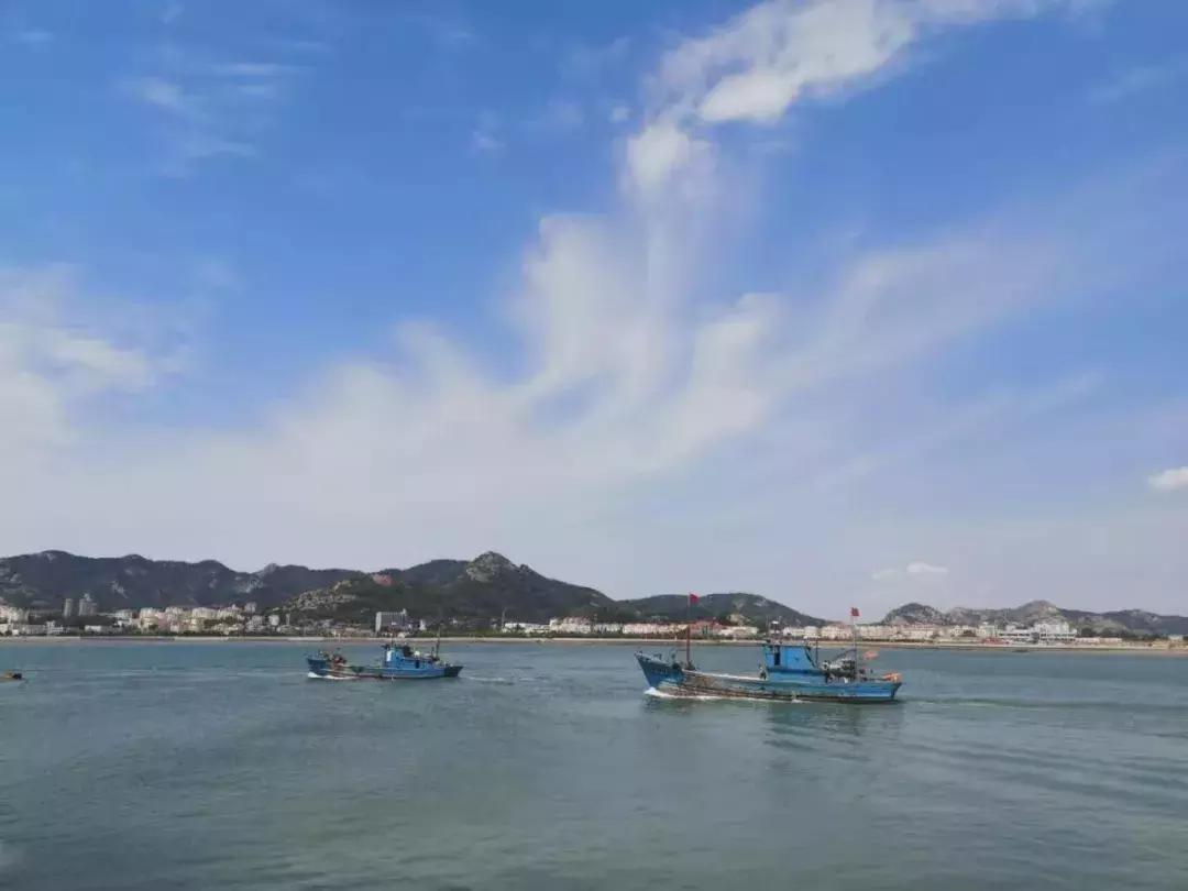 青岛开海了新鲜肥美的海鲜已上市,青岛开海红岛海鲜八大关