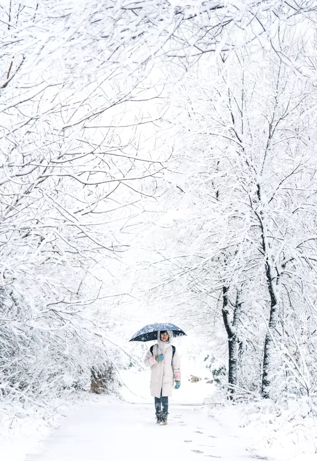 三个月山居生活体验报告——童话里都是骗人的