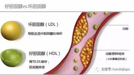 新加坡地震,新加坡地震了