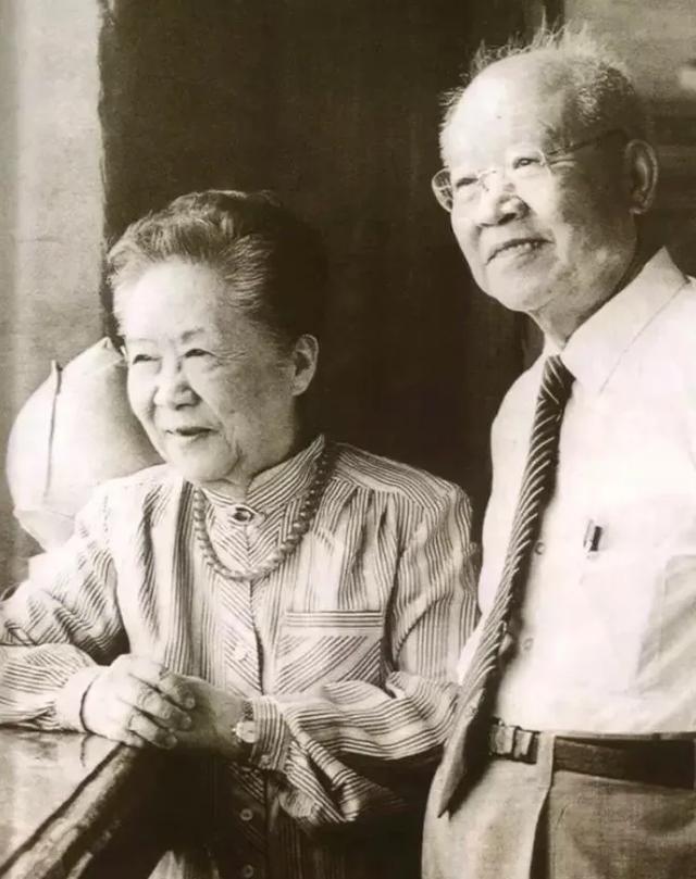 袁世凯孙子袁家骝是哪个儿子生的,袁世凯后代袁家骝