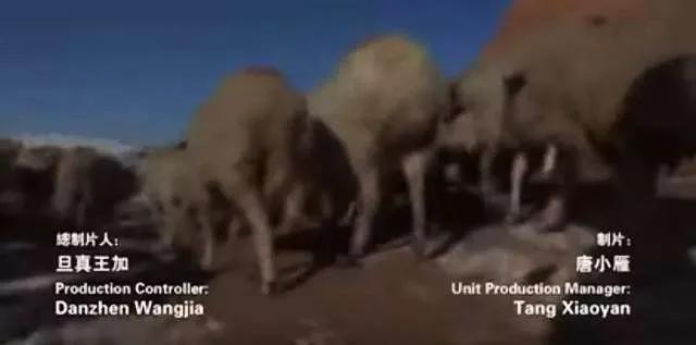 17岁被侵犯，34岁成*鸨老**，37岁拍片拿大奖，好绝一女的