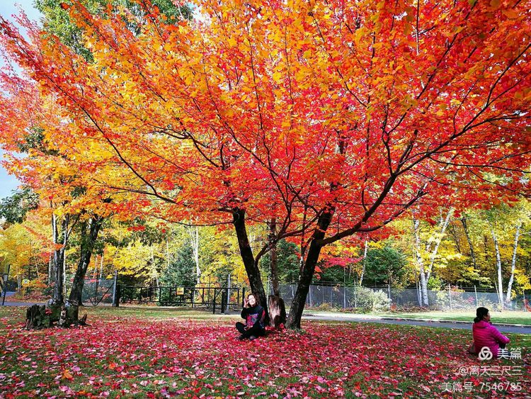 漫步魁北克体验不一样的北美风情,北美枫情蒙特利尔