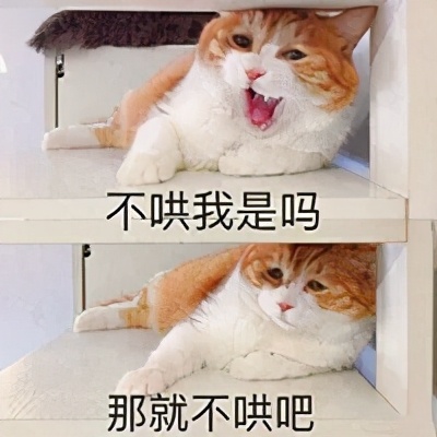 流泪猫猫头,流泪猫猫头抱小熊