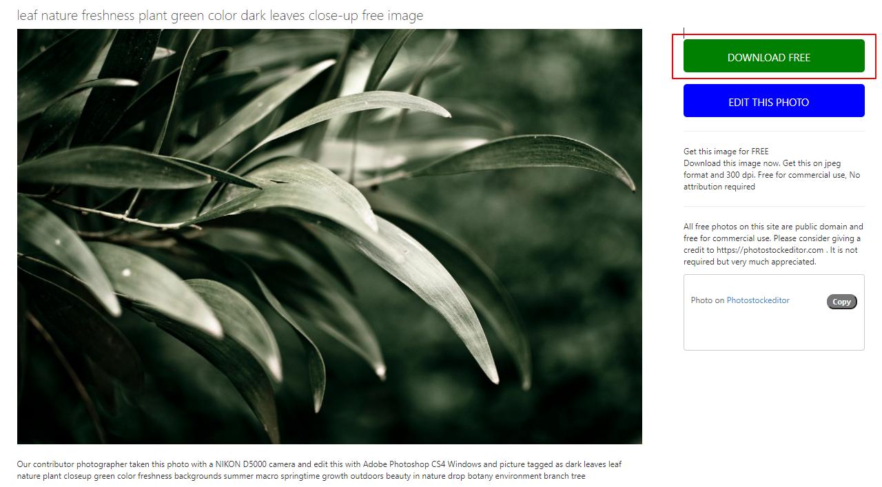 花瓣素材图片ppt,花瓣素材网图片有版权吗