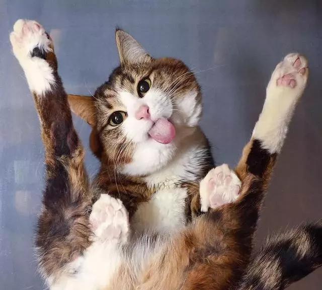 惊“牙”！每4个小朋友里就有3个牙列不齐