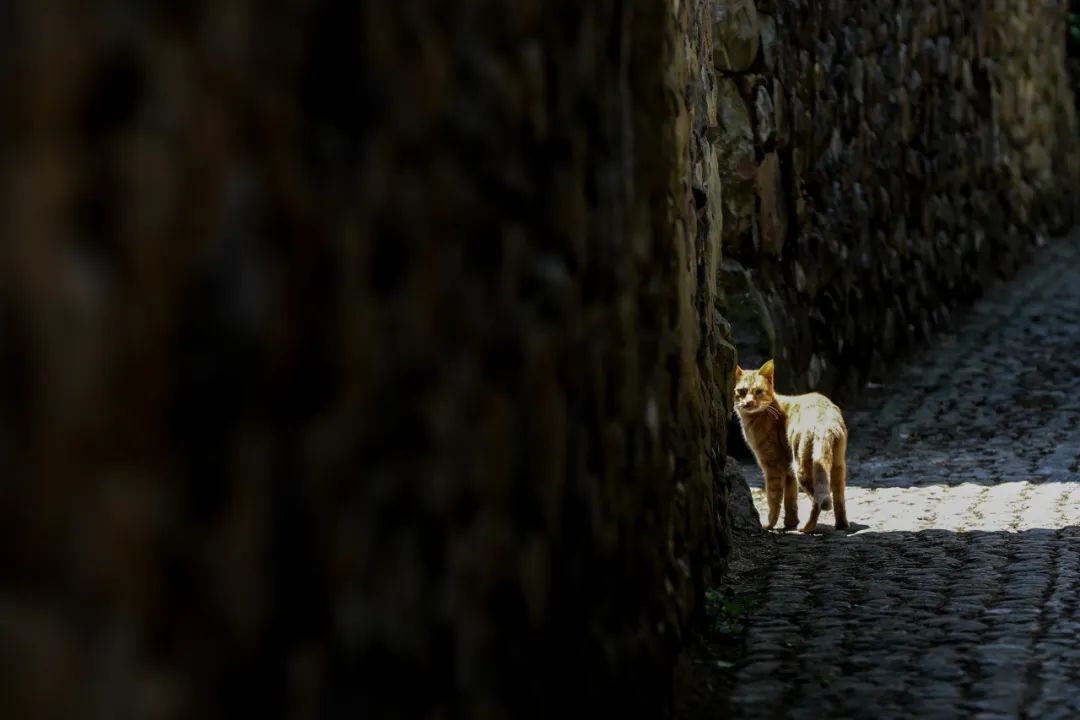 宁波最好的一个古村,宁波第一千年古村