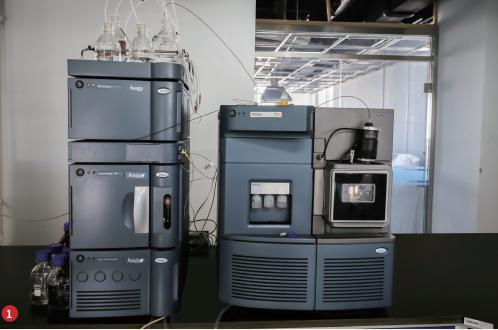 实验室｜去除腐烂部分的果蔬还能吃吗？实在舍不得扔怎么办？