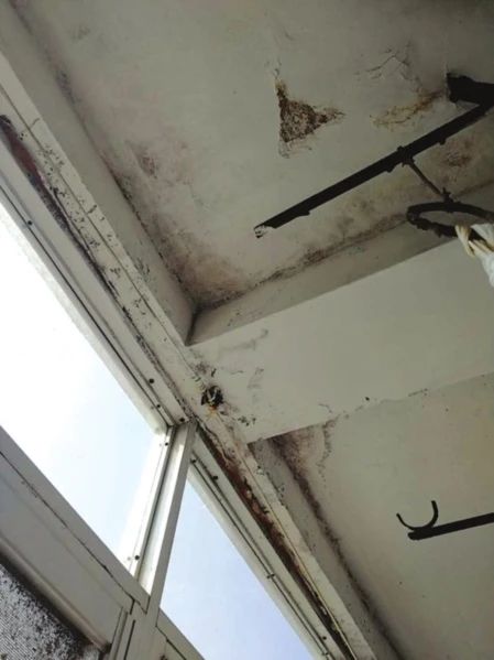 高温天气霉菌怎么处理,南方回南天除湿除霉