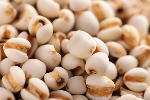 风湿痛吃什么食物可以减轻,风湿病能吃六种食物