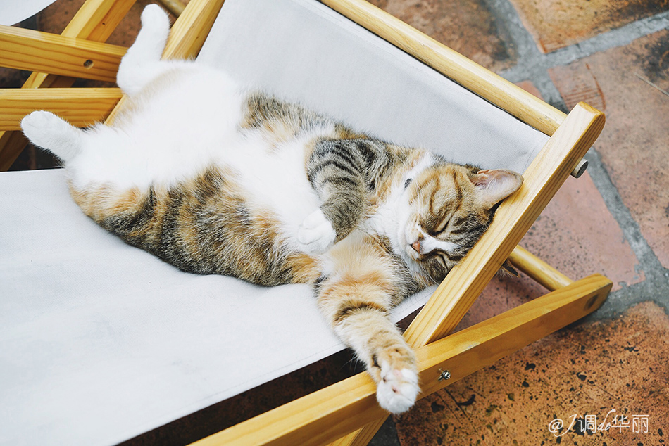 厦门水泥花砖,厦门老花砖