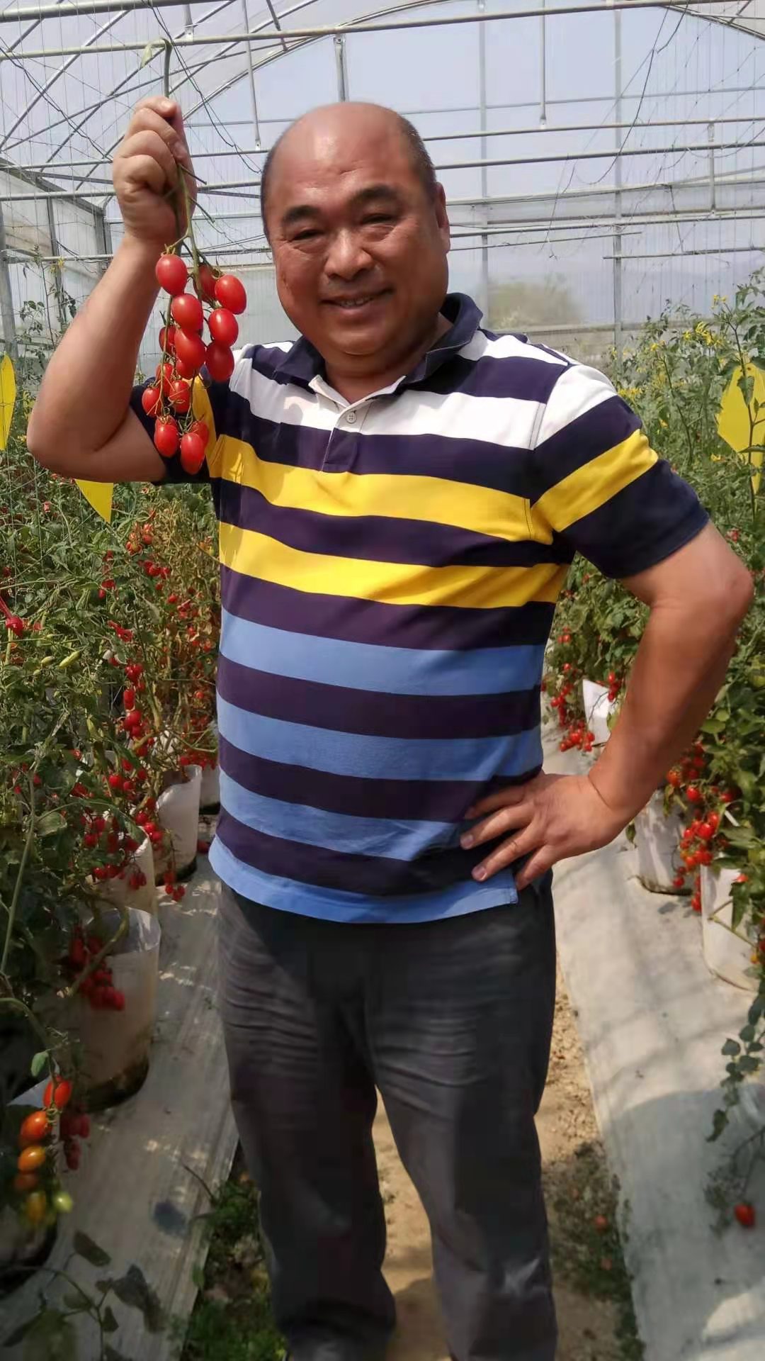 在闽台商台胞热议《意见》,台胞台企点赞农林22条措施