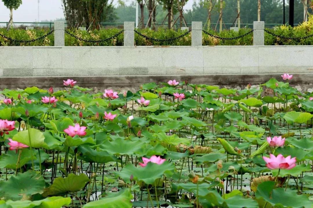 天津市独立院校（四）天津财经大学珠江学院