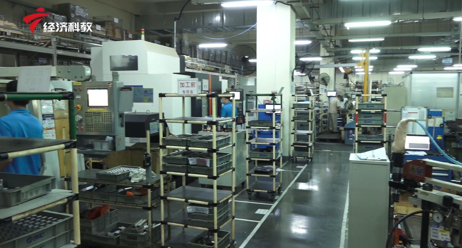 广东新焦点在哪里看重播,广东新焦点栏目直播在哪看