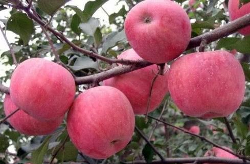 心理测试你觉得哪个笑得最开心,心理测试测你贵人是谁