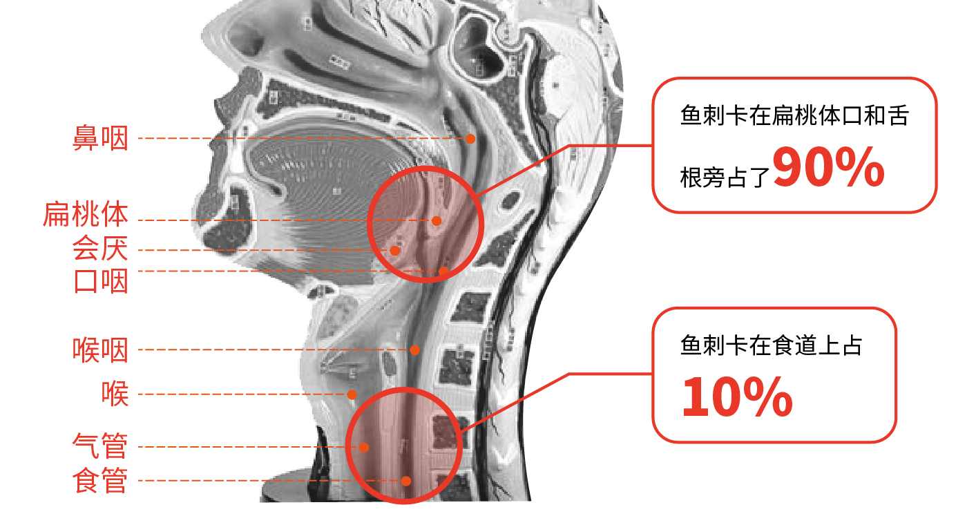 十篇被疯转的健康文章，转给亲友当新年礼物，超赞的！