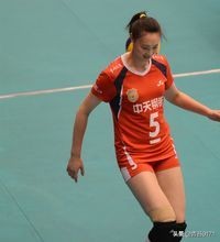 中国明星地域分布,辽宁明星地图