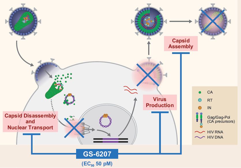 抗病毒治疗hiv药物有哪些,hiv长效注射抑制剂