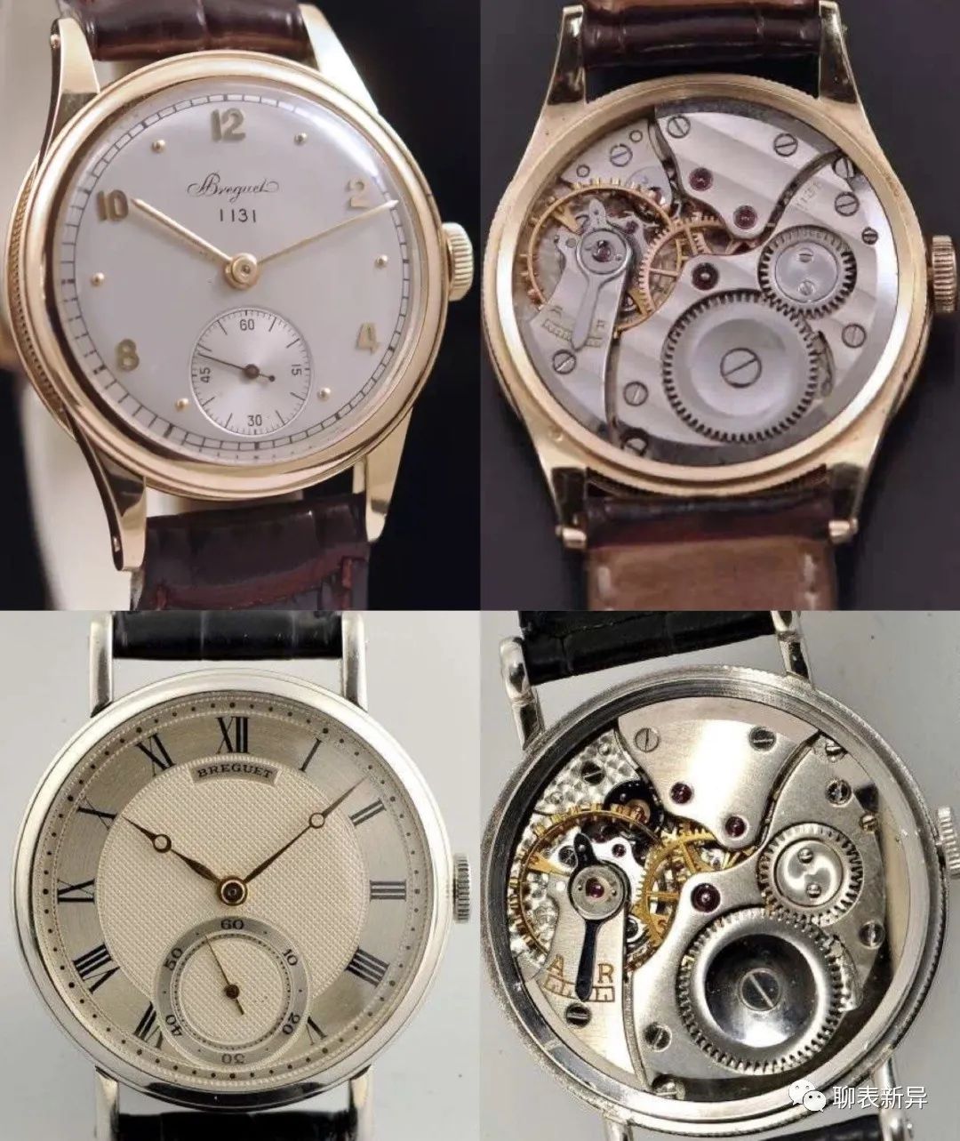 百里鸽,百里乳鸽