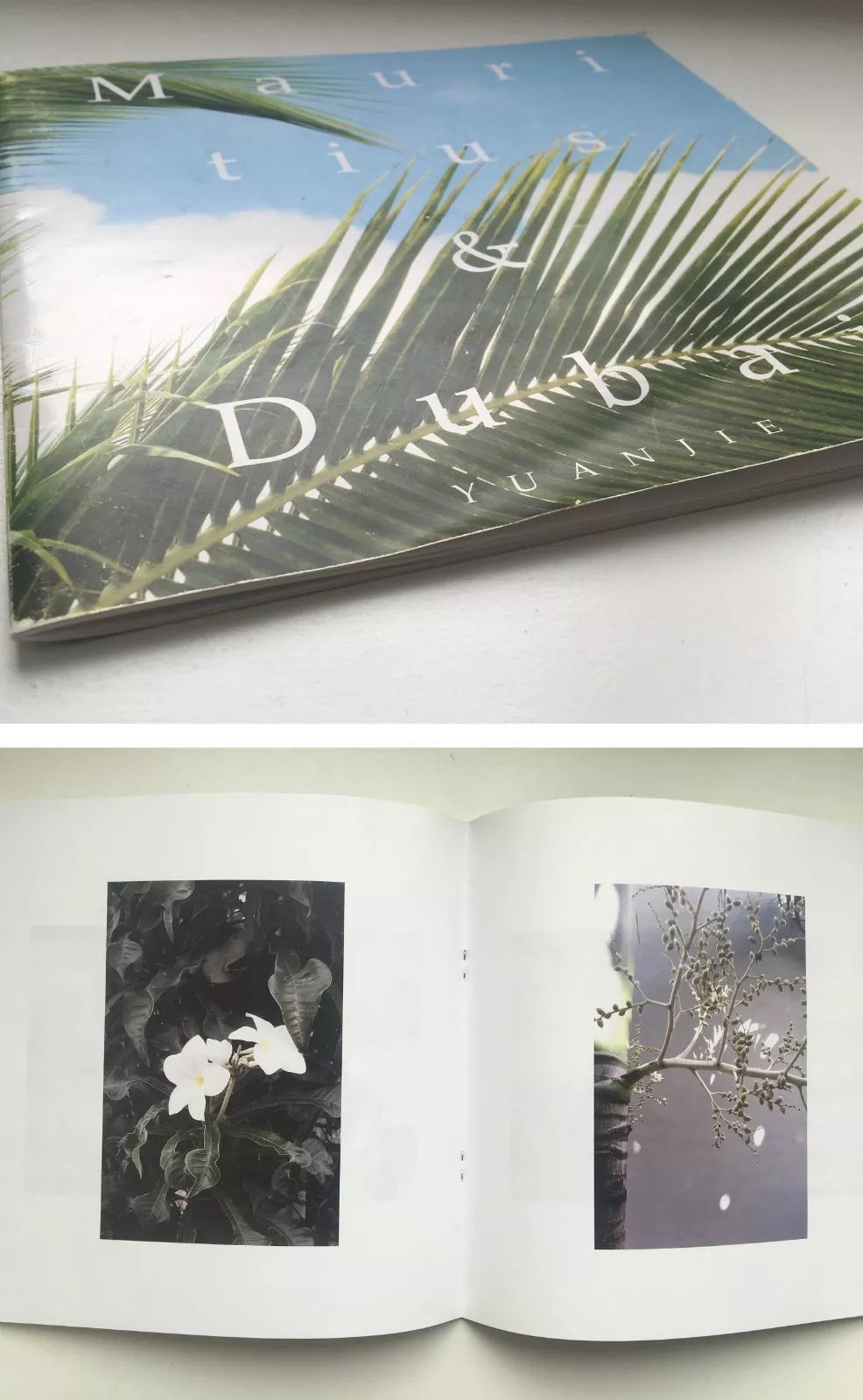 自己做一本画册有什么素材,怎样出一部自己的画册