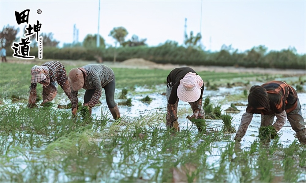 应该如何抓住风口与机遇,怎么抓住短视频创业风口