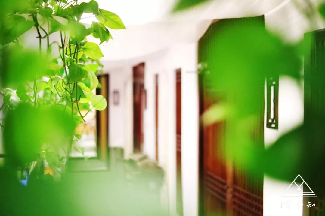 古筝零基础合奏,古筝零基础入门曲