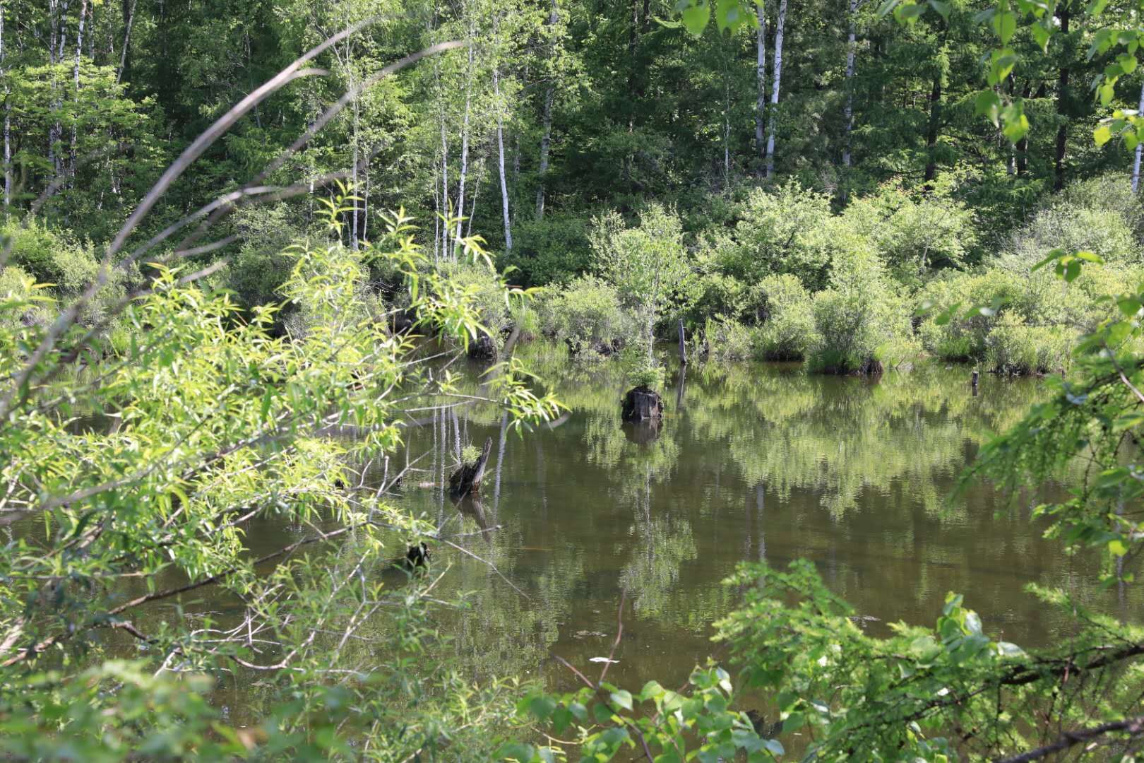 康熙一生巡访几次,康熙帝三次亲征的路线