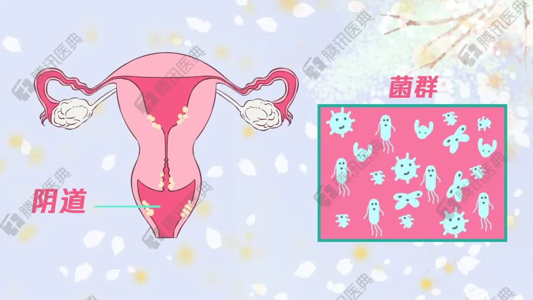 女孩们，*处私**有酸奶味是正常的，别被商家骗了买什么*处私**香水