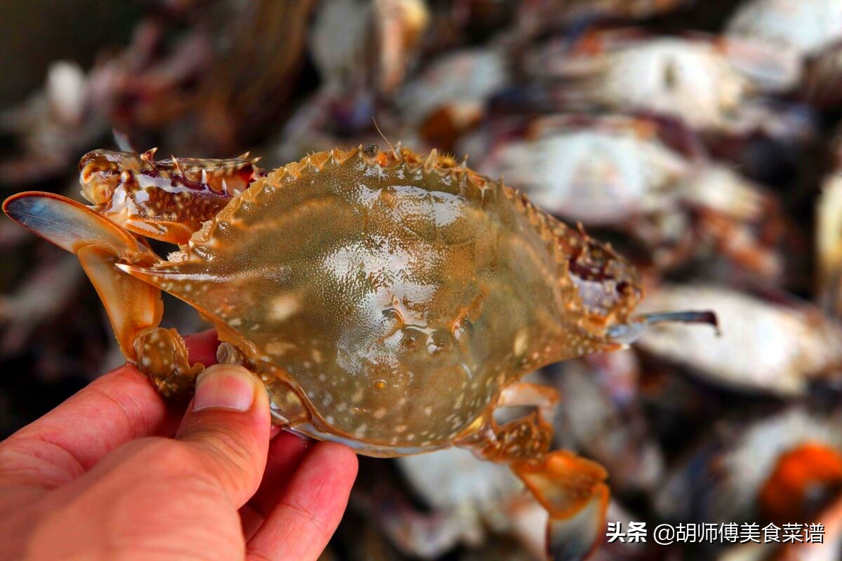 买螃蟹要怎么选才有肉,买螃蟹的小技巧