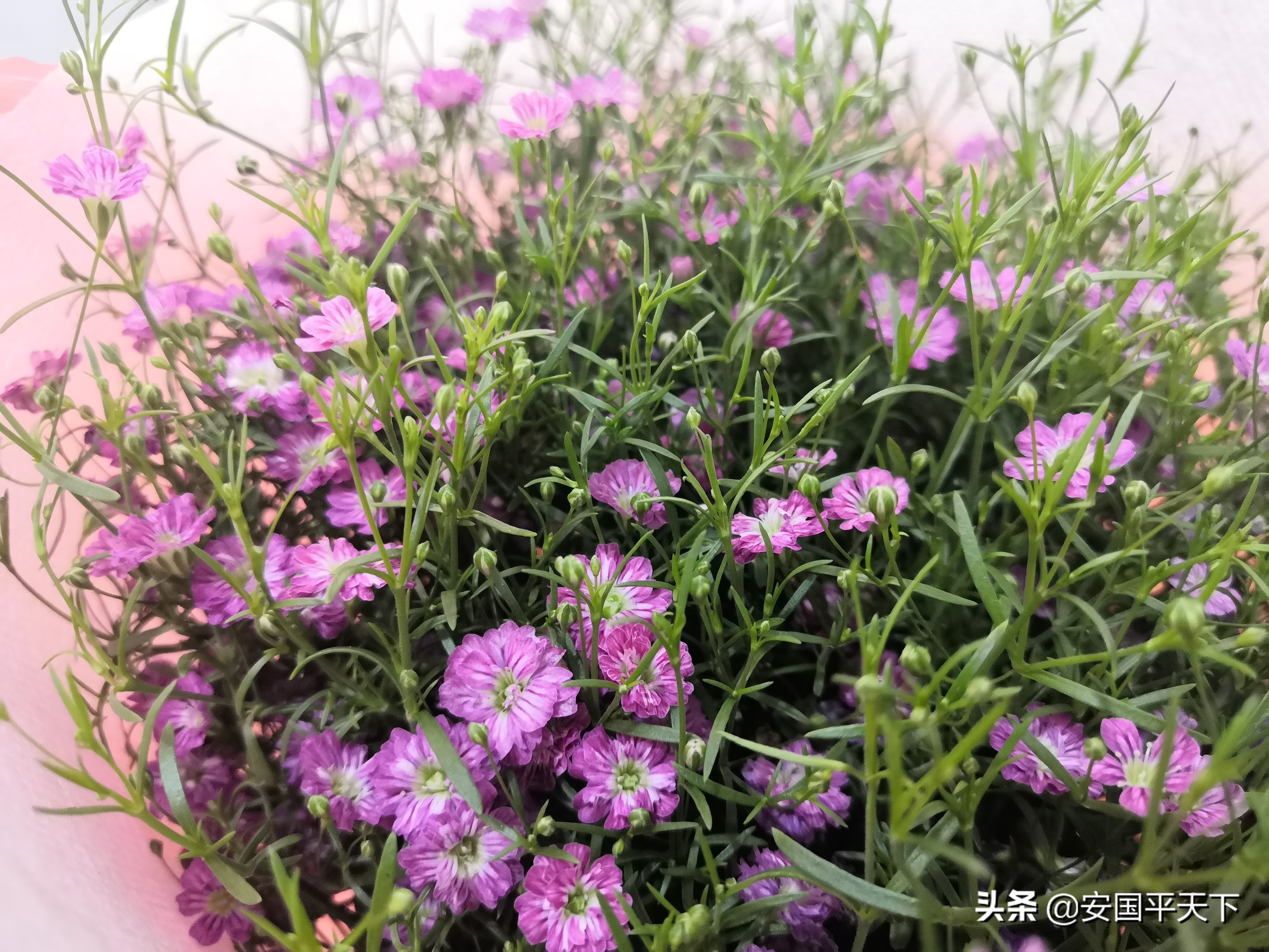 把老婆惹毛了的下场,把老婆惹毛有什么后果