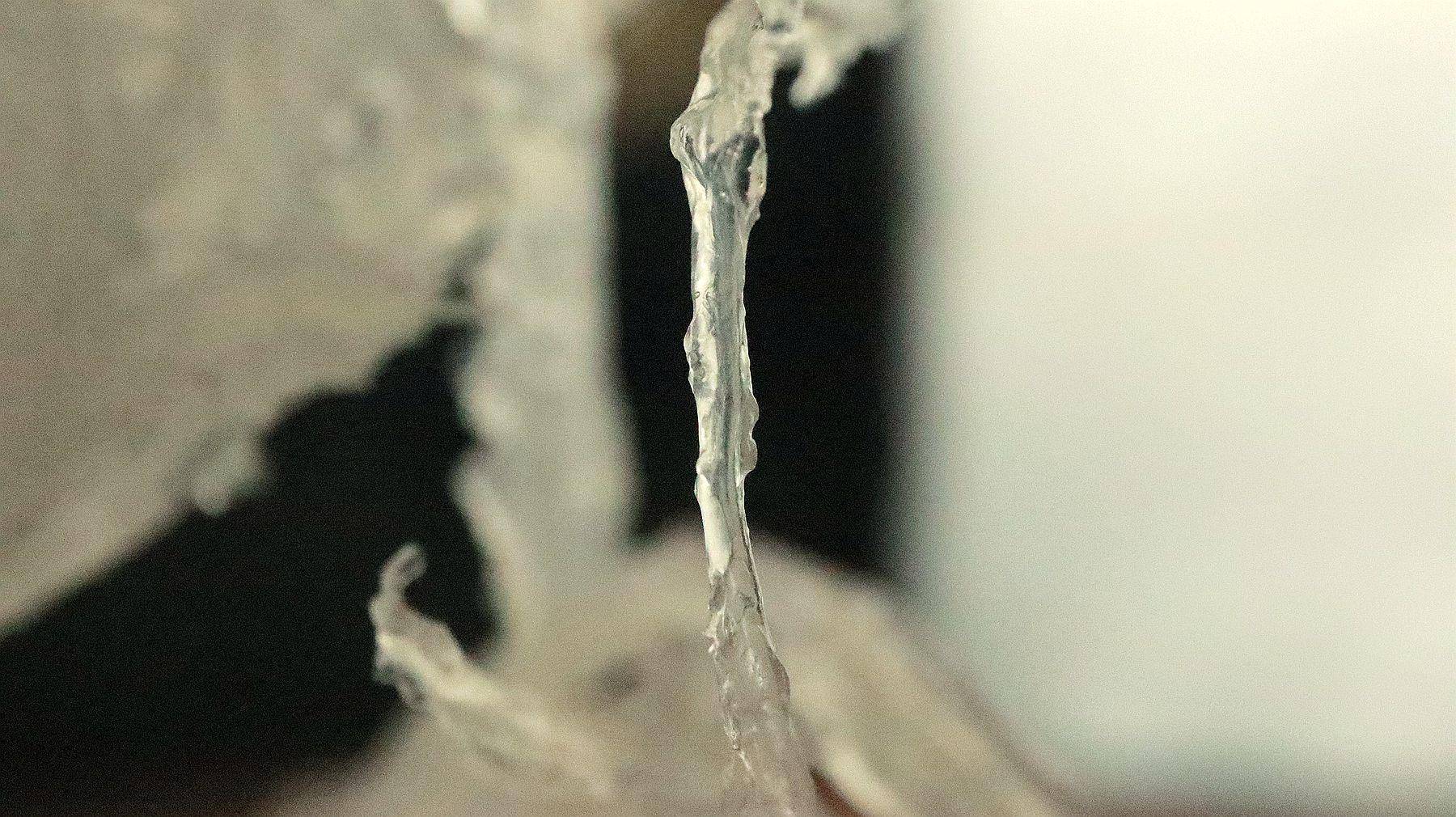 燕窝冻龄,燕窝到底有没有价值