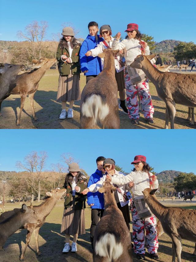 王思聪和李易峰关系有多好,王思聪和李易峰的区别