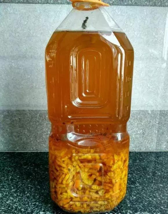 橘子皮切碎了丢瓶里，秒变大肥王，绿萝吃了疯长10米！