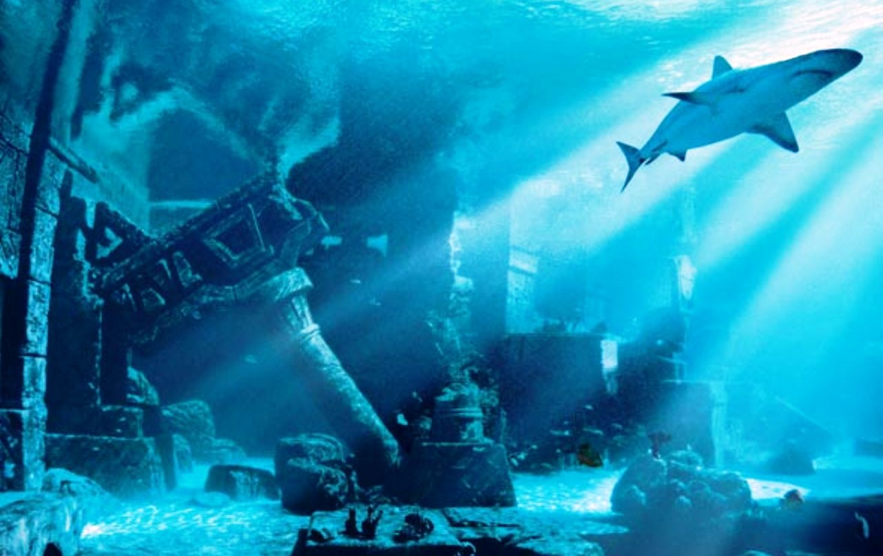 地球上第八大洲是哪个国家,第八大洲到底长什么样