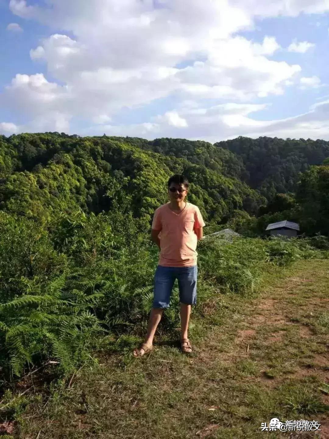 你还觉得冷？看，迎春花已经徐徐开放了