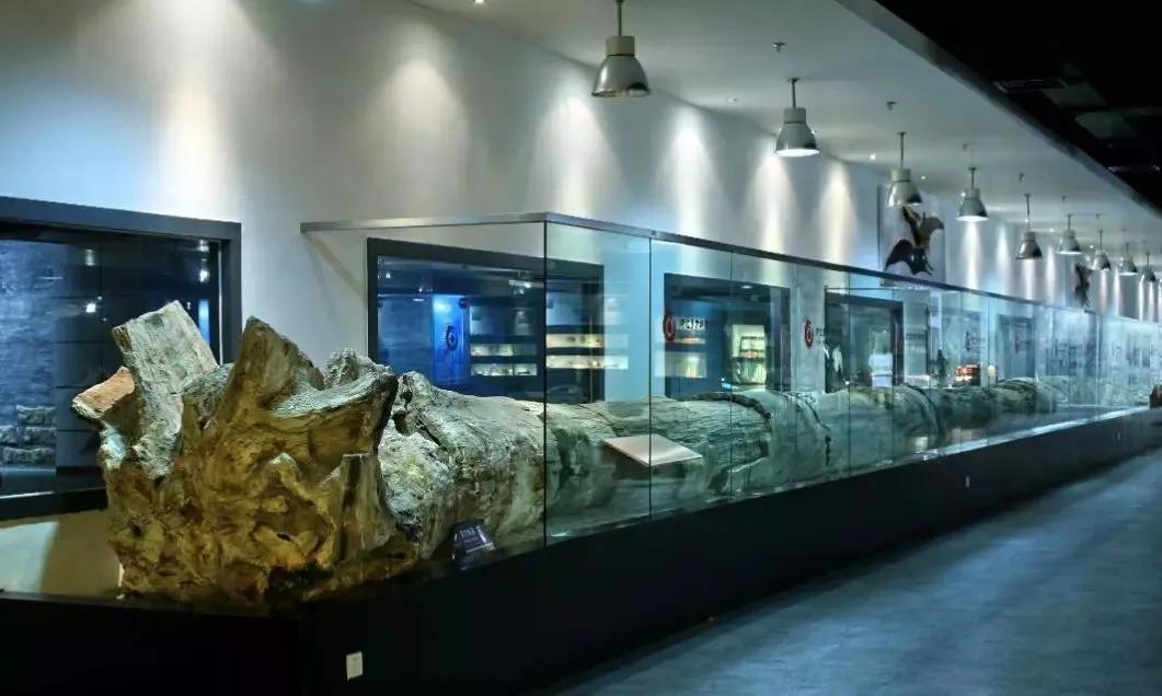 致敬最美逆行者活动效果,致敬各类最美逆行者