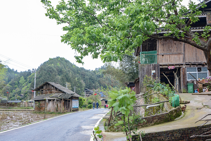 疫情对湖南这里居然丝毫没有影响！0病发，还超级适合徒步旅行！