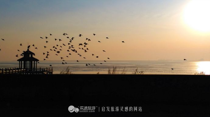 东土大唐取经路,东土大唐一条街