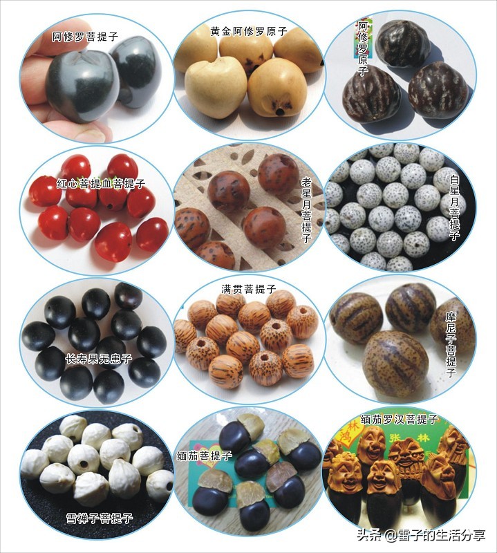 菩提子配饰翡翠,菩提子蜜蜡配饰图