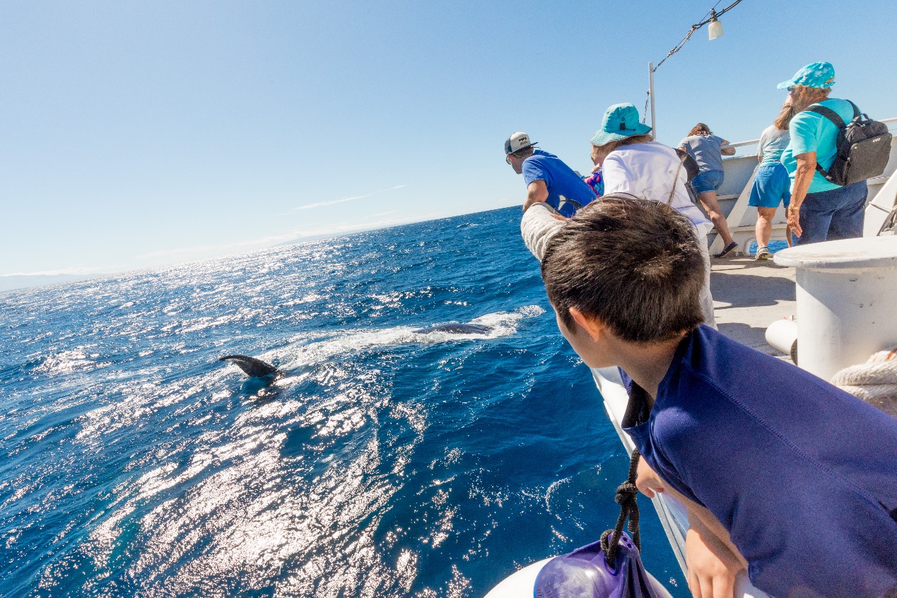用夏威夷果壳的100种玩法,夏威夷新吃法