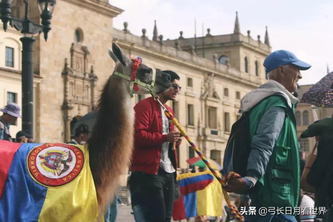 早日喜提草泥马，你还有这个方法