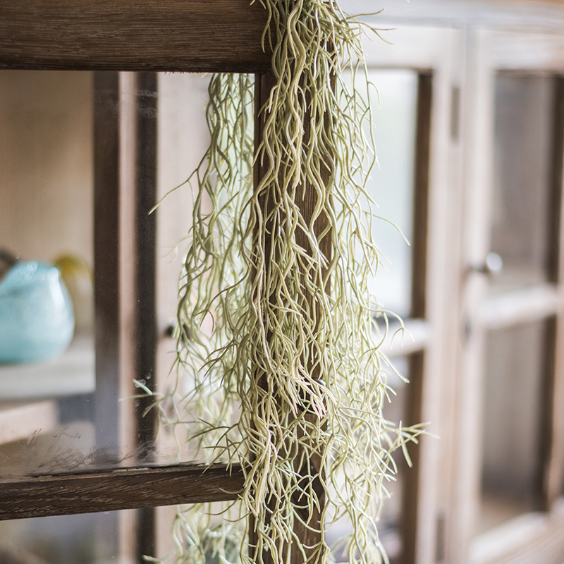 18种院子好看的花儿,18种漂亮的花