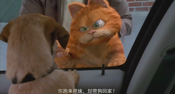 你是否也是猫奴呢？这只好吃懒*爱做**欺负其他动物的肥猫你还记得吗