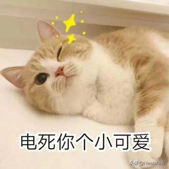 你看起来好像很美味第2季,你看起来好像很美味原版