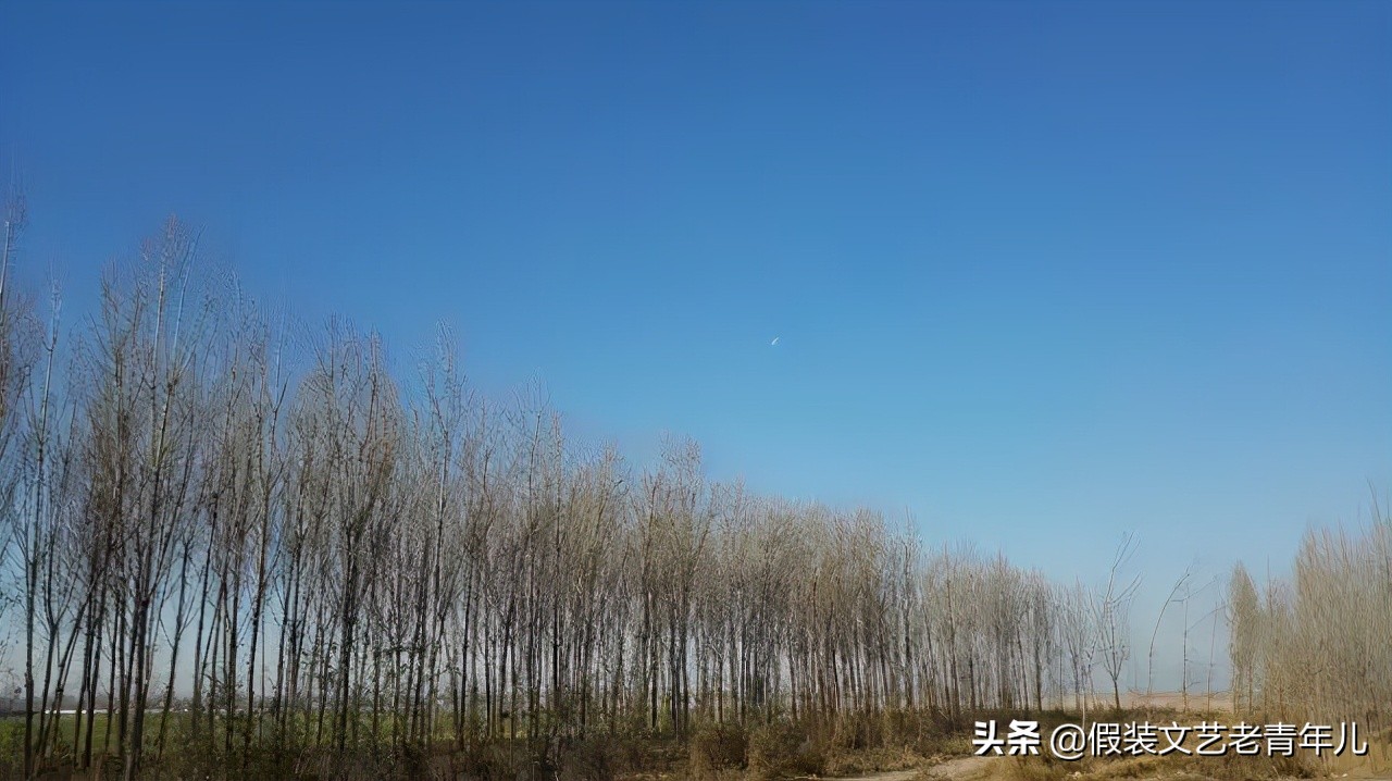 棣欐硥鍏堢敓璇楁瓕,棣欐硥鍏堢敓