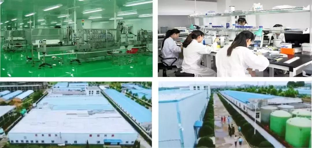 ceo姝荤鍒板簳,姝荤鍒板簳鐩磋嚦澶辫触