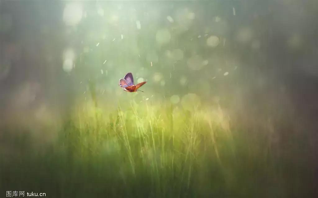 轻音乐最好听的十首完整版,世界上最好听的轻音乐